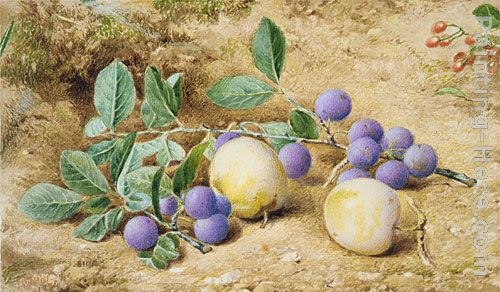 John William Hill Plums